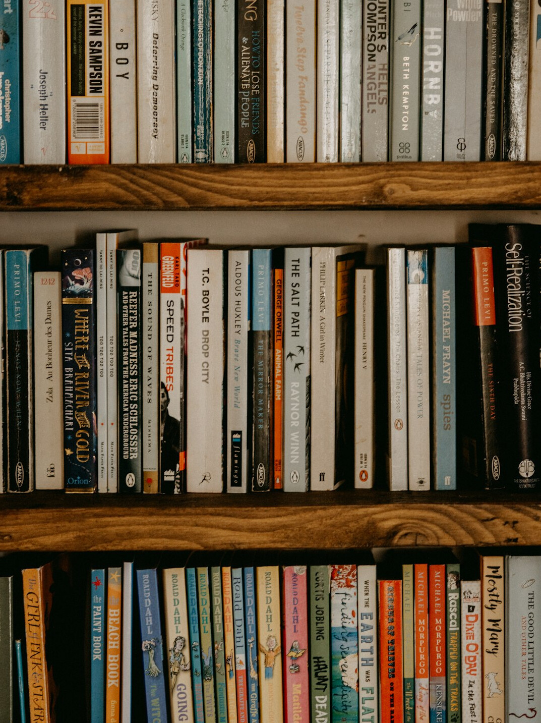 bookshelf with mystery novels